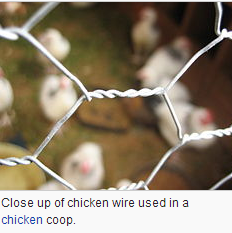 Chicken Wire